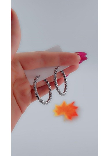 Kadın Burgu Tasarım Çelik Küpe Gümüş Renk