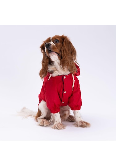 Kırmızı Mont Köpek Mont Köpek Kıyafeti Köpek Yağmurluğu Küçük-büyük Irklar