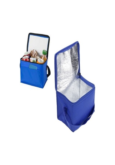 Oto Buzdolapları Araç Soğutucu Çanta Mavi