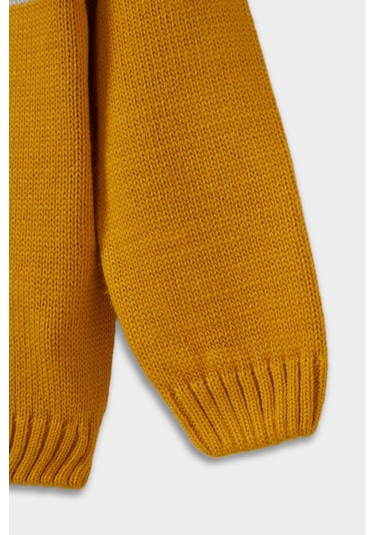 Defacto Erkek Bebek Bisiklet Yaka Renk Bloklu Kazak C8875a525auyl310 Sarı