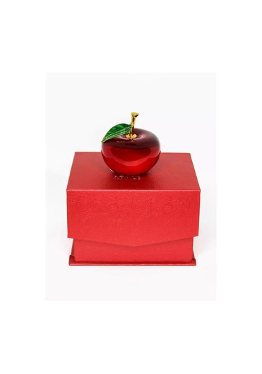 Home Balance Raf İçin İç Mekan Bibloleri 180599990