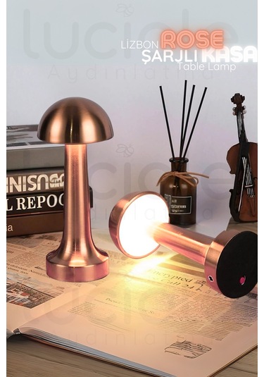 Ct-8430 Mantar Rose Şarjlı Dokunmatik 3 Renk Ayarlanabilir Masa Lambası Diğer