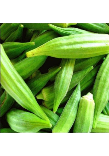 Geleneksel Anadolu Sultani Bamya Tohumu 50 Tohum