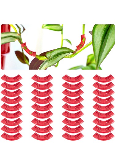 Dianziye 100 Adet Plastik Bitki Dal Bükücü Seti - 90 Derece Bahçe Sabitleyici, 3.5x1 Cm Kırmızı, Tomat Orkide Şekillendirici