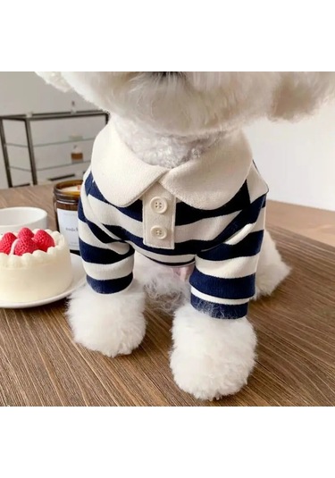 Köpek Giysileri Schnauzer Teddy York Shire Polo Gömlek Yaz Bej