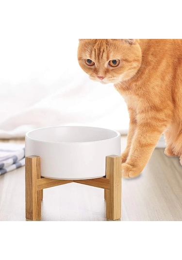 Matgo Pati Çam Ağacı Kedi Köpek Beslenme Mama Su Kabı Seramik Kaseli 500 ML