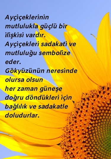 2024 Yılına Özel Ekim Seti