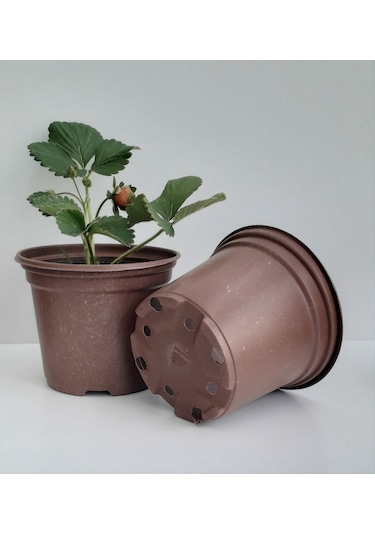 Üretim Saksısı 12X10 Cm 100 Adet Vakum Saksı Fide Saksısı