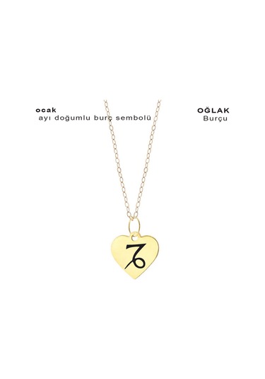 Ocak Ayı Doğumlarına Özel Zincirli 14 Ayar Altın Plakalı Kalp Motifli Hediyelik Kolye-352ay Ocak