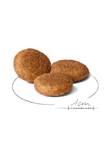 Royal Canin Medium Adult Orta Irk Yetişkin Köpek Maması 15 KG