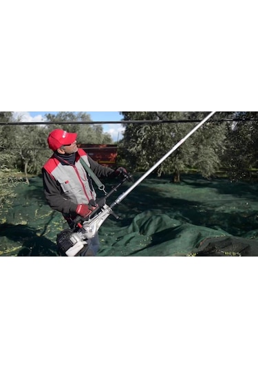Cifarelli SC 800 Zeytin Ağaç Silkeleme Hasat Makinesi