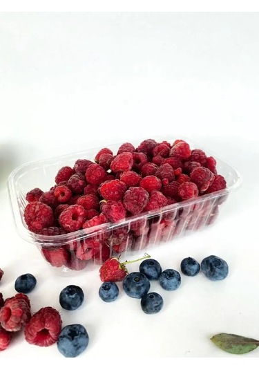 Tpt Tek Kullanımlık Plastik Kaplar Kapağı Yok 50 Adet 171604893 100 adet