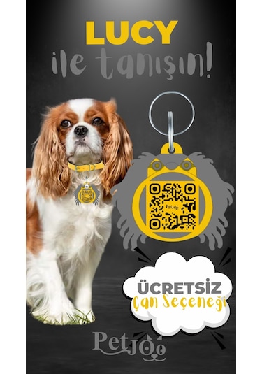 Petjoo 11.Lucy Gri-Sarı Qr'lı Köpek Künyesi