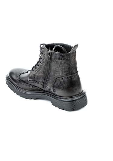 Dexter Ko9586-61 Renkli