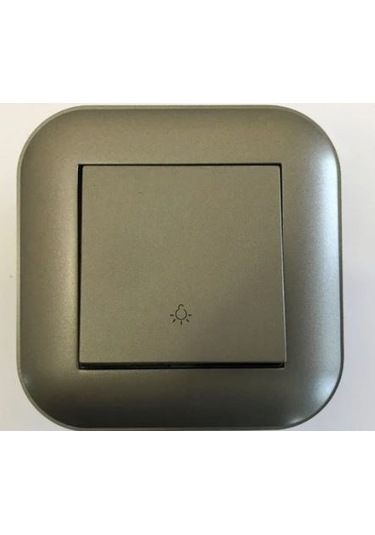 Ovivo Loft Antrasit Zil Anahtarı