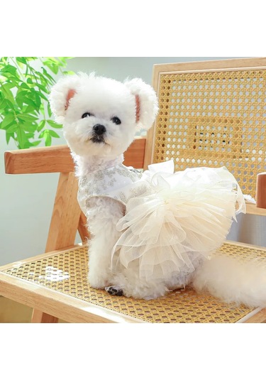 Best Golden Monkey Köpek Elbisesi "nazik" 423646011