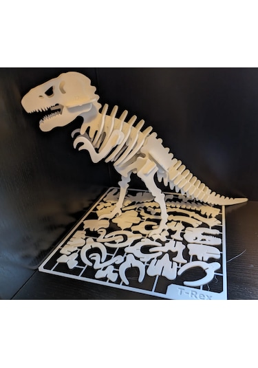 T-rex İskelet Kit Kart