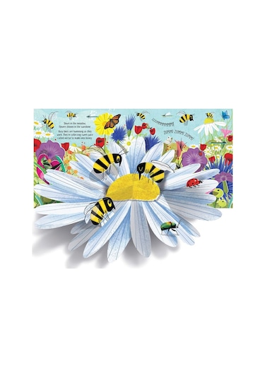 Pop-Up Nature - Anna Milbourne - Usborne