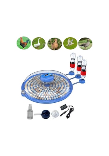 80 Tavuk 240 Kuş Yumurta Kapasiteli Çift Viyollü Kuluçka Makinesi - Kaz, Ördek, Tavuk, Bıldırcın İçi