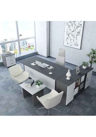 Pasha 4'lü Ofis Takımı  Model 6 Füme Beyaz