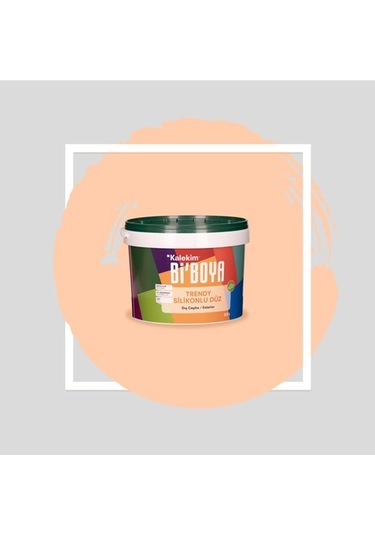 Bi Boya Silikonlu Dış Cephe Boyası 2.5 L 4111
