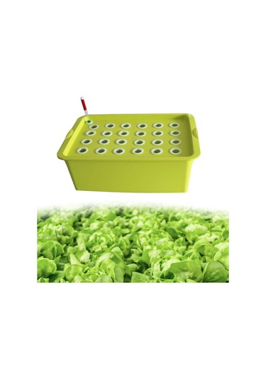 Suntek 24 Site Fidanlık Saksıları Parterre Bahçesi Yeşil