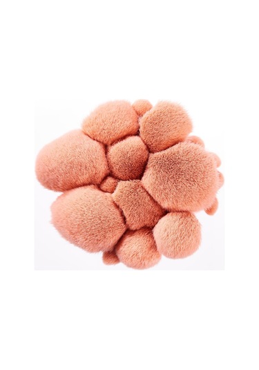 Hzl Makyaj Fırça Seti Çantalı 9lu Pembe-431