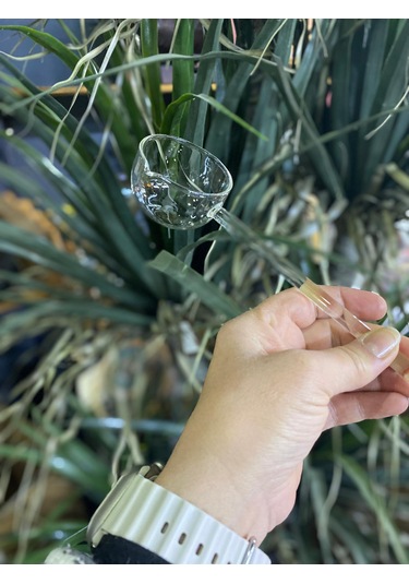 Mercan Borosilikat Cam Sos Kepçesi