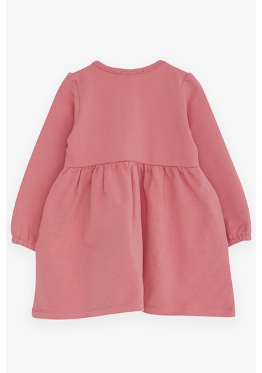 Breeze Kız Çocuk Uzun Kollu Elbise Ayıcık Aksesuarlı 2-6 Yaş, Gülkurusu