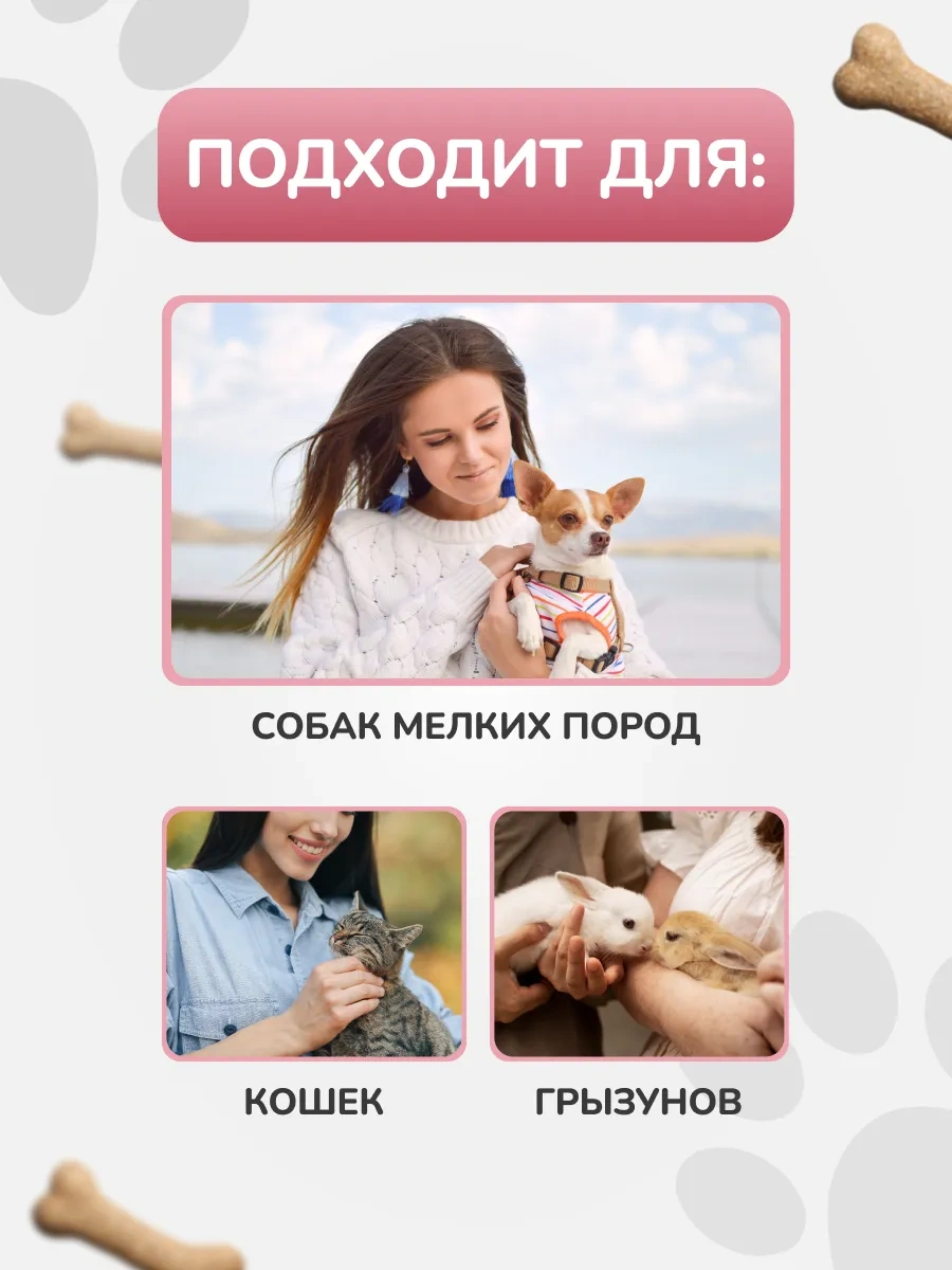 Lapkomarket Küçük Irk Köpekler İçin Taşıma Çantası / Evcil Hayvan Askılığı 372133733