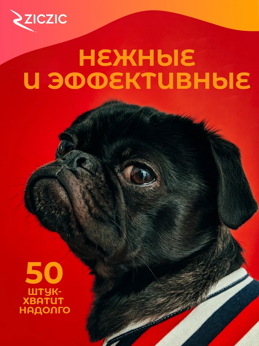 Ziczic Evcil Hayvanlar İçin Kulak Temizleme Islak Mendilleri, 50'li Evcil Hayvanlarınızın Kulak Hijyeni İçin Özel Olara