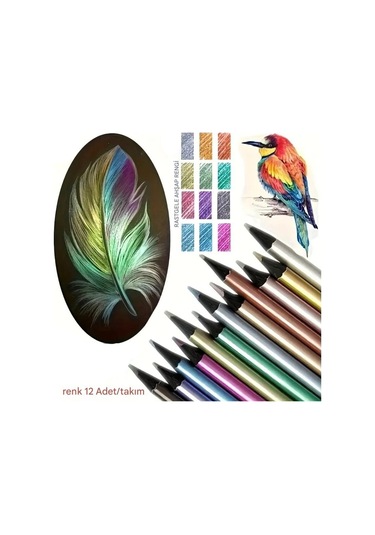 Kara Kalem Çizim Seti Metalik 12 Renk Kalem Çizim Set, Parlak Eskiz Ve Tonlama-12li