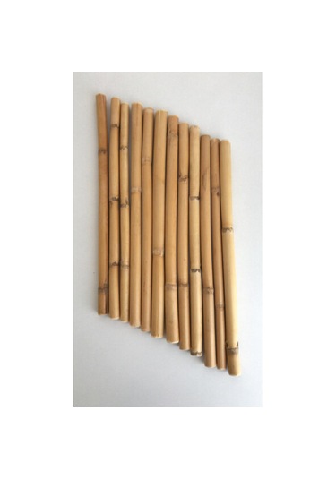 Bambu 15 Cm 12 Li Paket 01