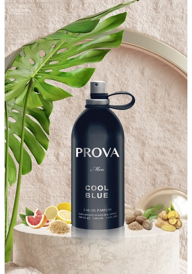 Prova Cool Blue Erkek Parfüm EDP 120 ML