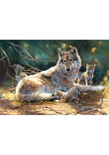 Castorland 1500 Parça Grace Under Pressure Puzzle