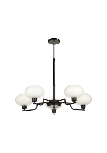 Vanna 5 Li Beyaz Camlı Salon Oturma Odası Modern Sarkıt Avize - Siyah Siyah