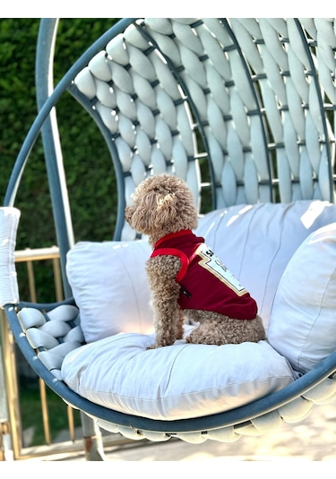 Köpek Atlet Barbeque Souce Yeni