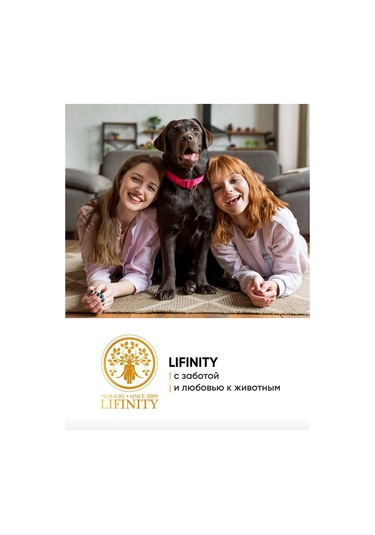Lifinity Kısa Tüylü Yavru Kedi Ve Köpekler İçin Şampuan, 300 Ml 318319038