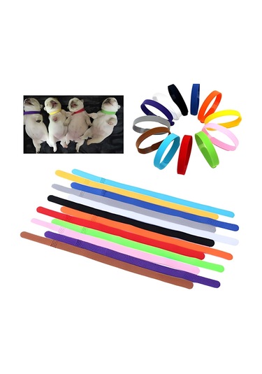 Homyl 12 Adet Tanımlama Köpek Tasmaları Ayarlanabilir Kimlik Açık Mor