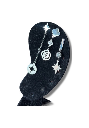 Gül Ve Kuzey Yıldızı Figürlü Çelik Küpe Gri