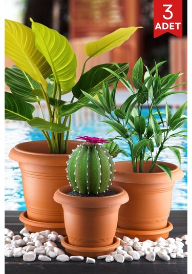 Nandy Home 3'lü Antik Model Saksı Seti