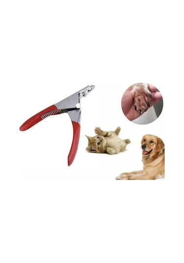Petpretty Kedi Ve Köpek Dik Tırnak Makası