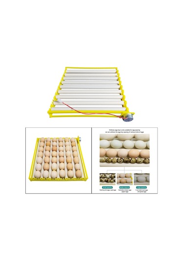 Suntek Yumurta Kuluçka Tepsisi Otomatik Silindiri Ev 9-tüp
