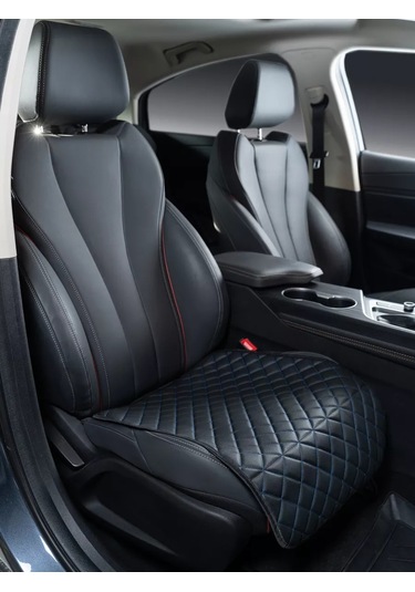 Dianamex Araba Koltuğuyla Uyumlu Koruyucu Örtü, 1 Adet. 219213654
