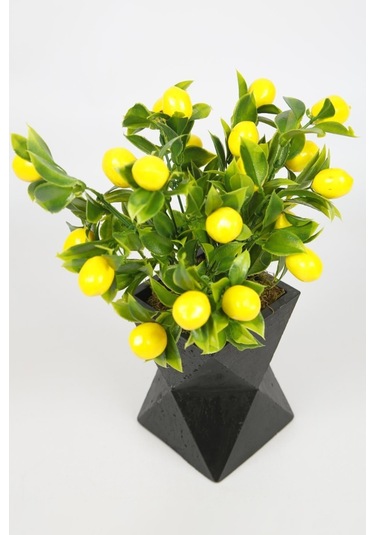 Siyah Beton Saksıda Limon Ağacı Yapay Ağaç Vazoda Yapay Bitki Kahverengi