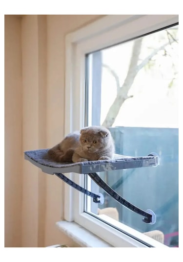 Genel Tedarik Kedi Yatağı