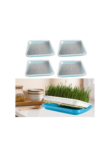Trendooze 4 Adet Bahçe Filizleme Tepsisi Buğday Çimi Seti