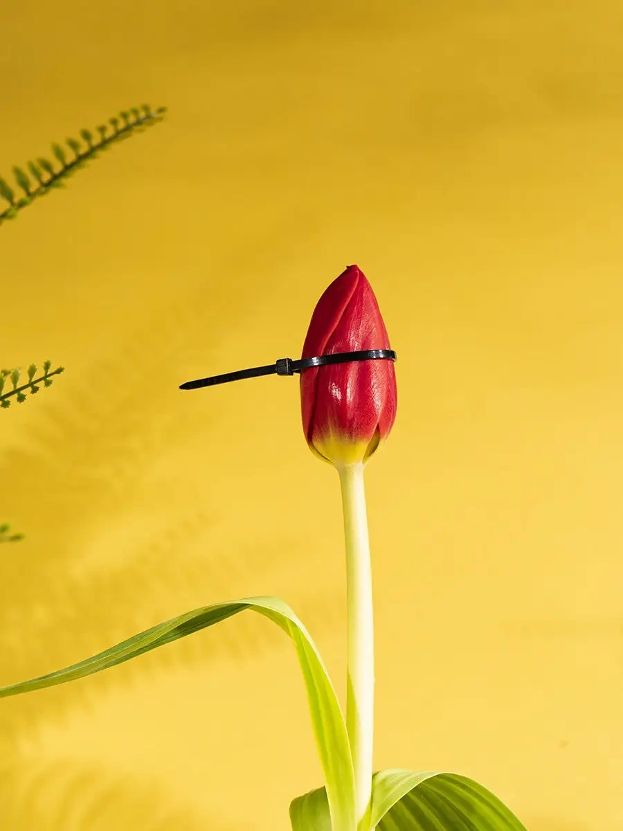 Rexant Kablo Bağlama Plastik Naylon Bağlantı Elemanı 120x2,5mm 100 Adet 9143928