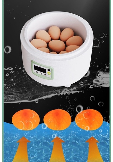 Pazly Yumurta Suntek Ördek Kuşları Için Çok Bıldırcın Amaçlı Gi