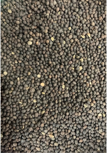 4 Kg Saf Yemlik Adi Fiğ Tohumu Kuş/tavuk/kanatlı Hayvan Yemi İçin Yüksek Proteinli Tane